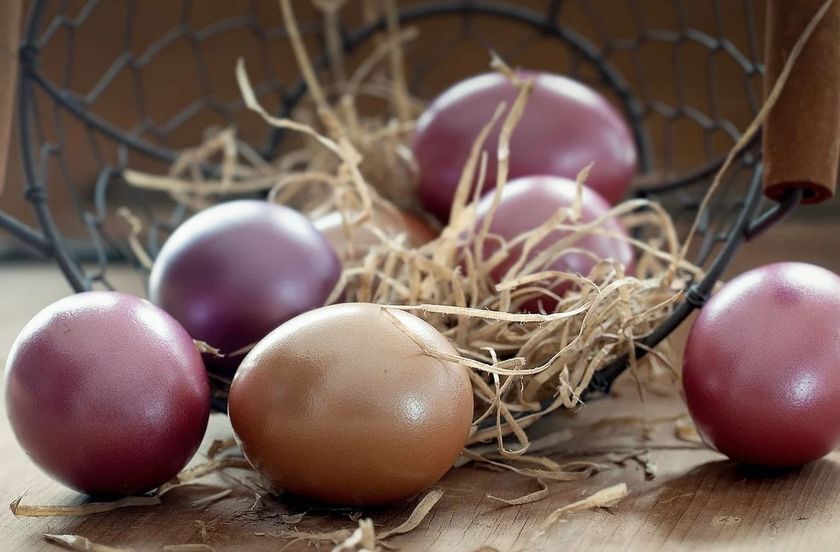egg2